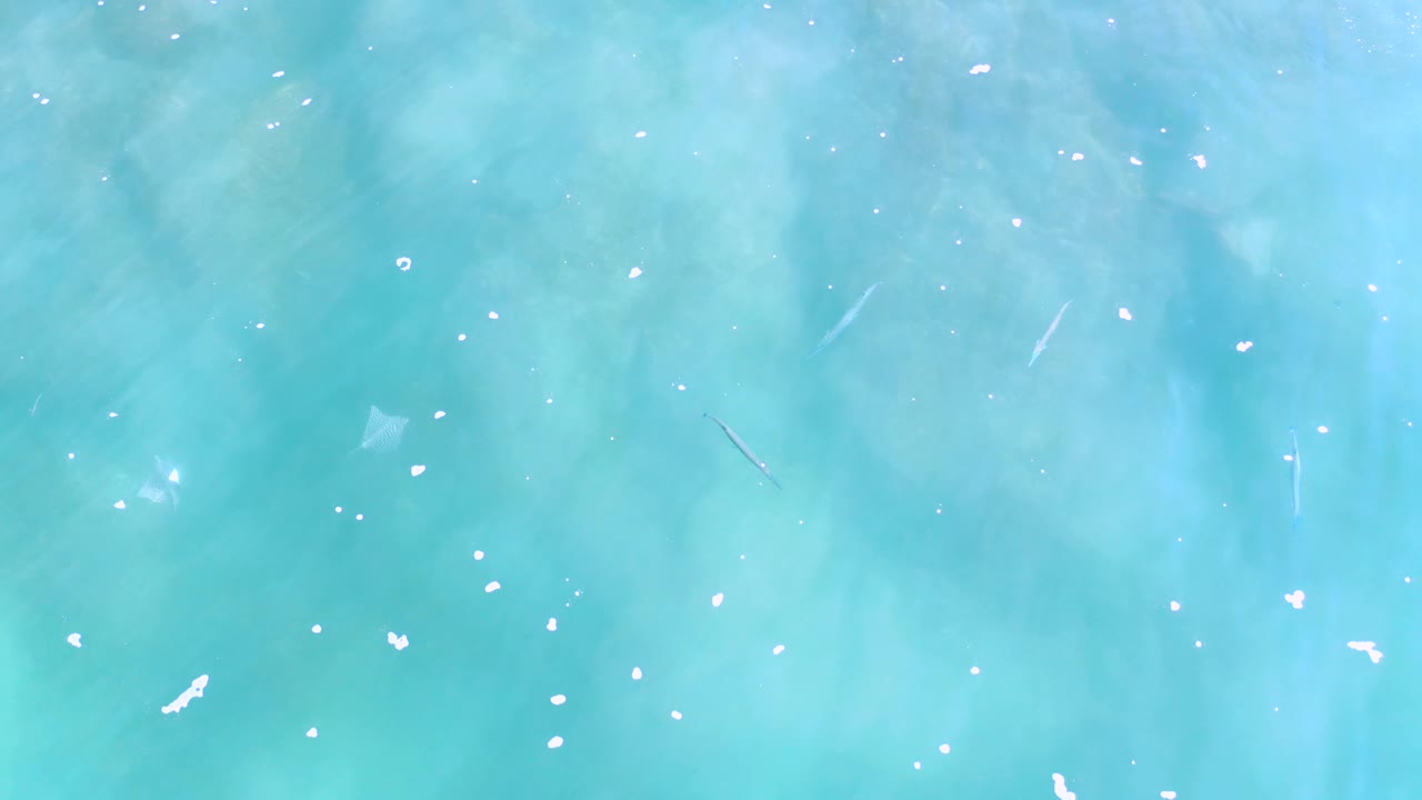 Aqua ocean water in Los Cabos appears as a full-frame surface pattern with white foam flecks and no visible people.