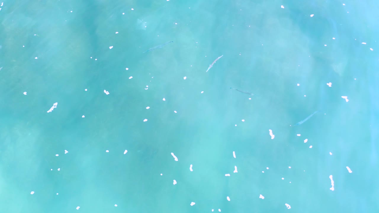 Overhead Los Cabos water frame with blue green color bands, small white foam specks, and subtle fish forms beneath the surface, no visible people.