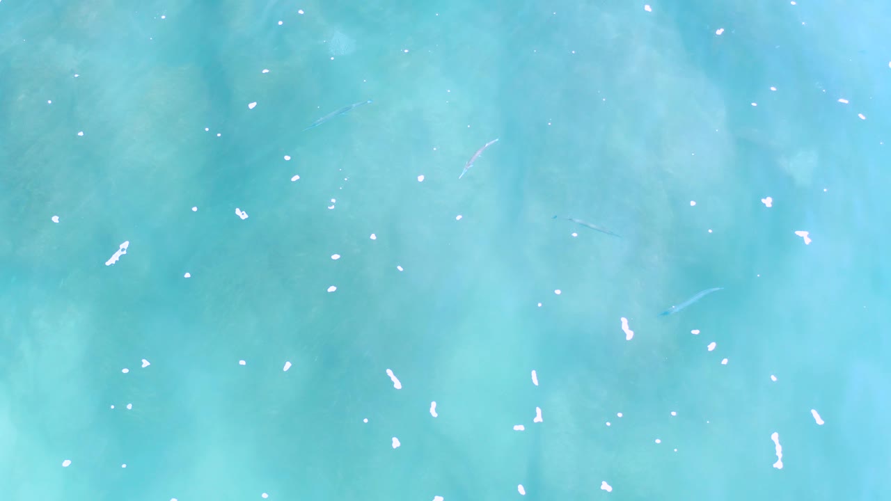 Top-down frame from Los Cabos showing pale turquoise water, scattered white foam marks, and a few faint fish-like streaks under the surface, no visible people.