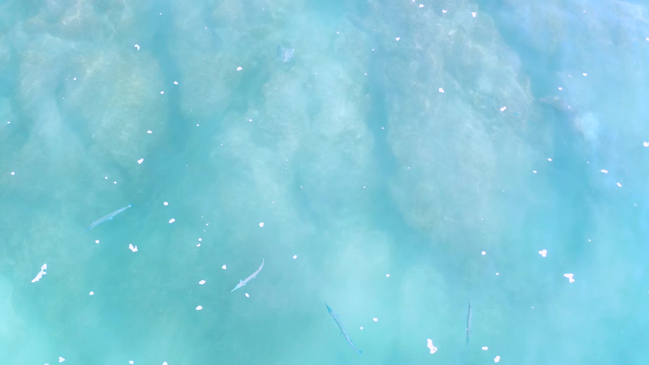 Blue-green Los Cabos water seen from above, with small foam specks and a thin dark worm-like line near the lower part of the frame, no visible people.