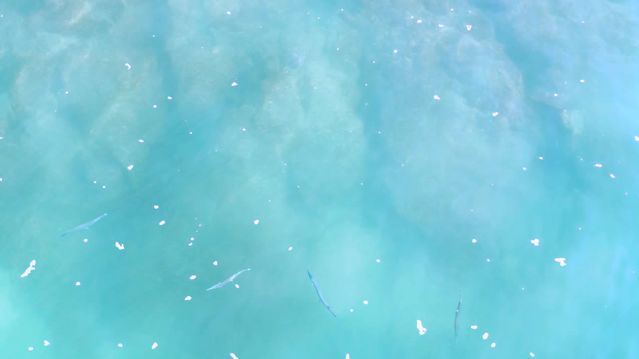 Clear aqua water in Los Cabos, Mexico with scattered white bubbles, soft cloudy patches under the surface, and no visible people.