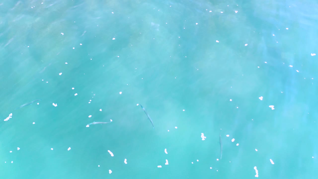 Overhead turquoise water frame from Los Cabos with brighter white flecks spread across the surface and faint ripple patterns, no visible people.