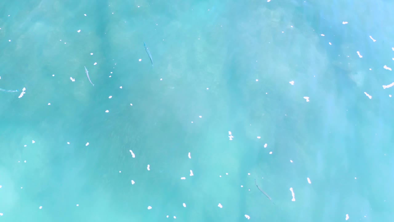 Blue-green shallow water with pale foam marks.