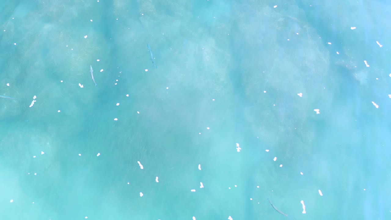Aqua shallow water in Los Cabos fills the frame, with faint bottom texture under gentle surface movement, scattered white foam specks, and no visible people.