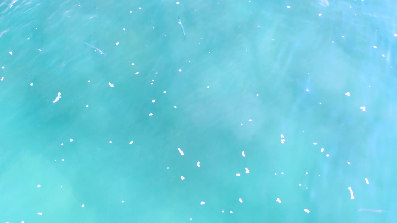 Top-down view of turquoise seawater in Los Cabos, Mexico, with soft cloudy patches below the surface, scattered white specks, and no visible people.