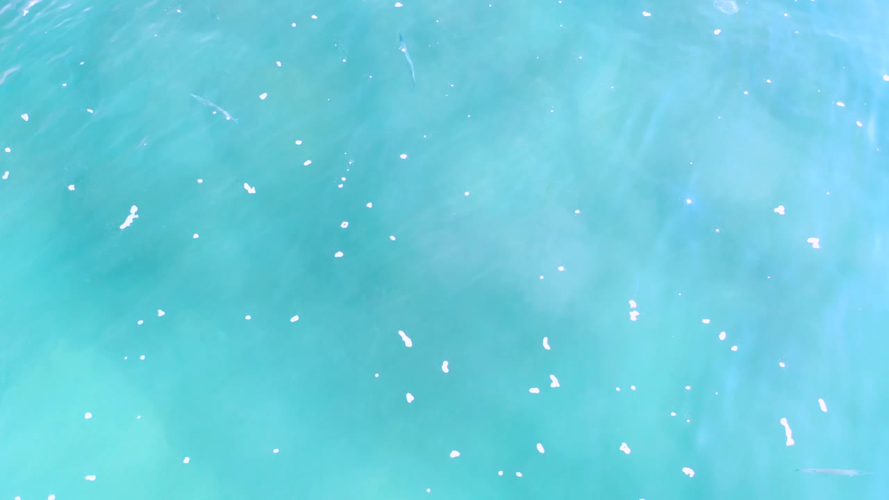 Blue-green ocean surface with pale cloudy water patterns.