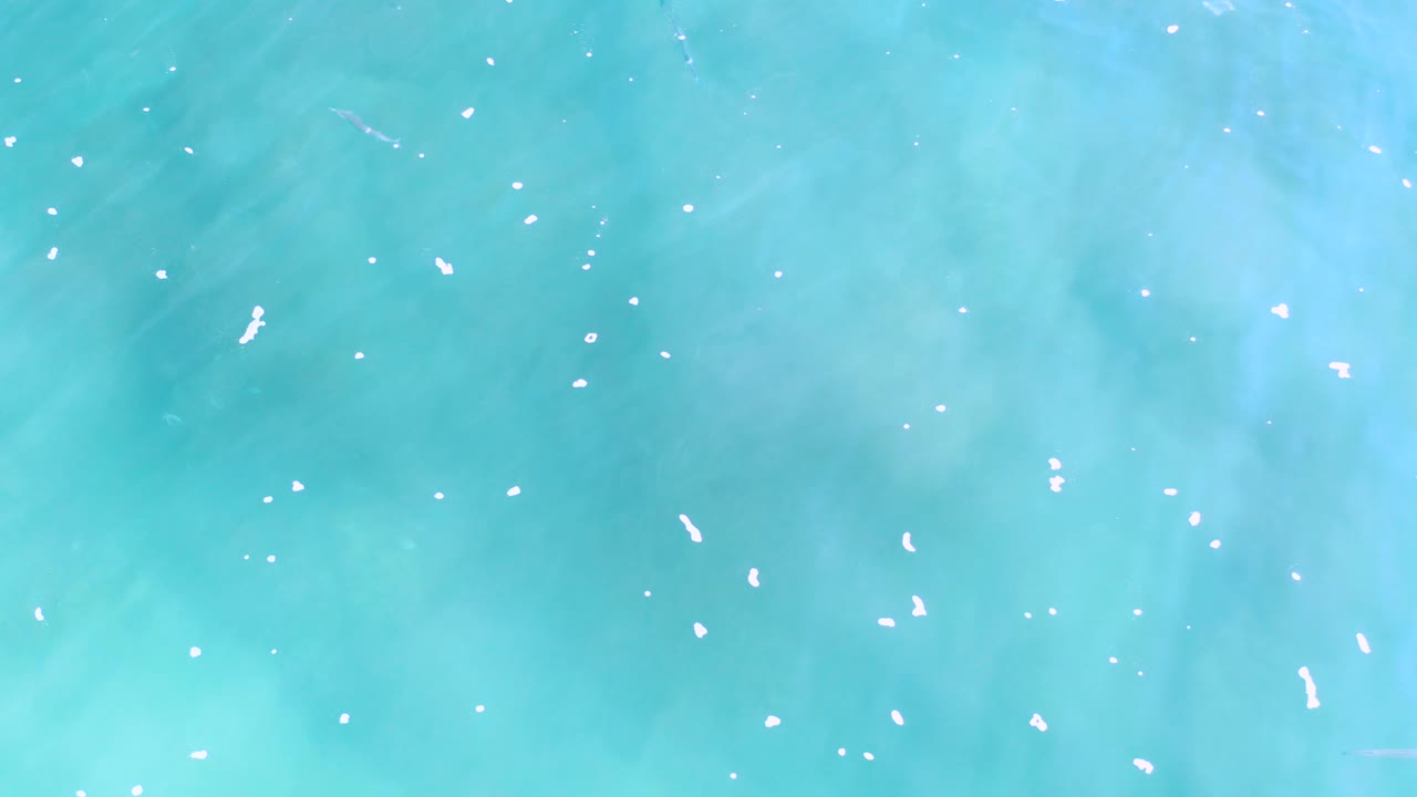 Top-view frame of Los Cabos seawater with more open turquoise color, small bright flecks across the surface, and no visible people or shoreline.