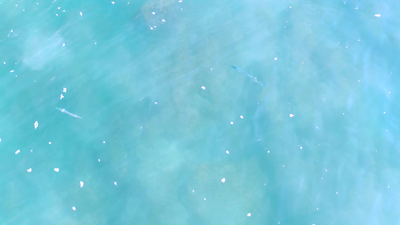 Overhead view of clear turquoise shallow water in Los Cabos, Mexico, with pale underwater texture, small white surface flecks, and no visible people.