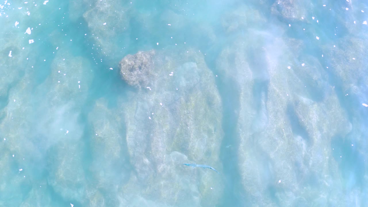 Overhead view of turquoise water flowing over pale reef and a tan-gray rock in Los Cabos, Mexico, with sun flecks on the surface and no visible people.
