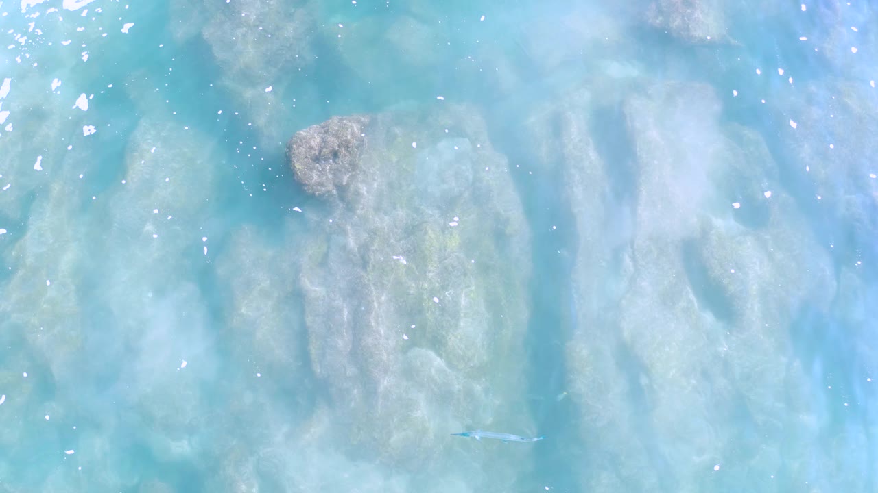 Sunlit turquoise water spreads over pale reef in Los Cabos, Mexico, with a small rock near the top edge and scattered bright reflections, no visible people.