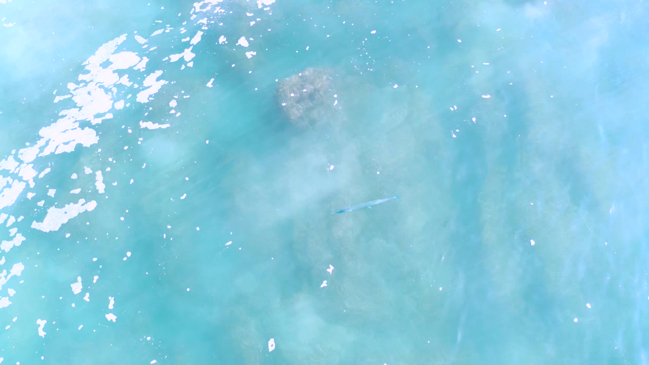 Overhead view of shallow turquoise water in Los Cabos, Mexico, with pale submerged rock forms, bright surface glare at left, a small fish under the water, and no visible people.