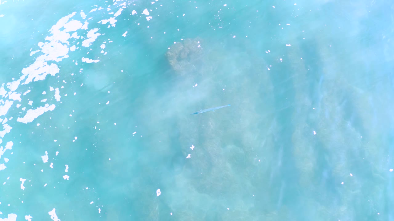 Overhead view in Los Cabos, Mexico, showing blue-green shallow water, a darker submerged rock area near the top, scattered white sparkle on the surface, a small fish to the right, and no visible people.