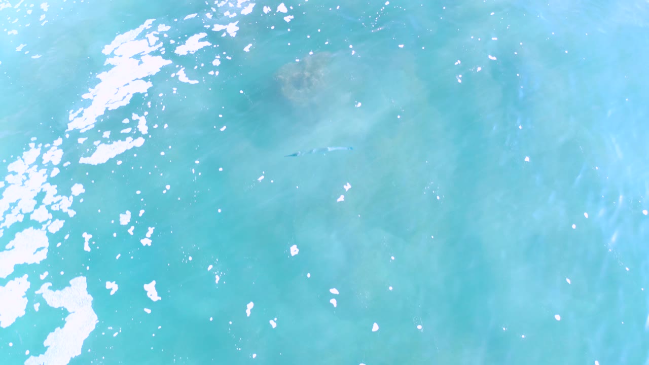 Overhead frame from Los Cabos, Mexico, with blue-green water filling the view, white foam sweeping down the left side, faint brown coral shapes underwater, and no visible people.