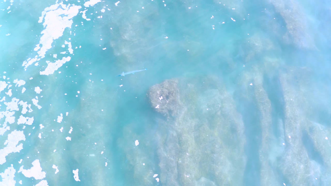 Overhead view of turquoise ocean water in Los Cabos, Mexico, with pale submerged rocks, bright surface glare, and no visible people.