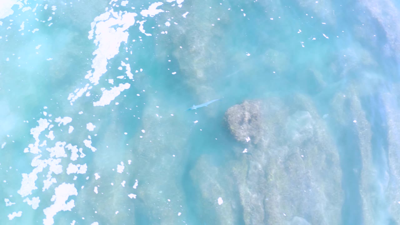 Turquoise water in Los Cabos shows broad submerged rock patches beneath scattered white highlights, with no boats, buildings, or visible people.