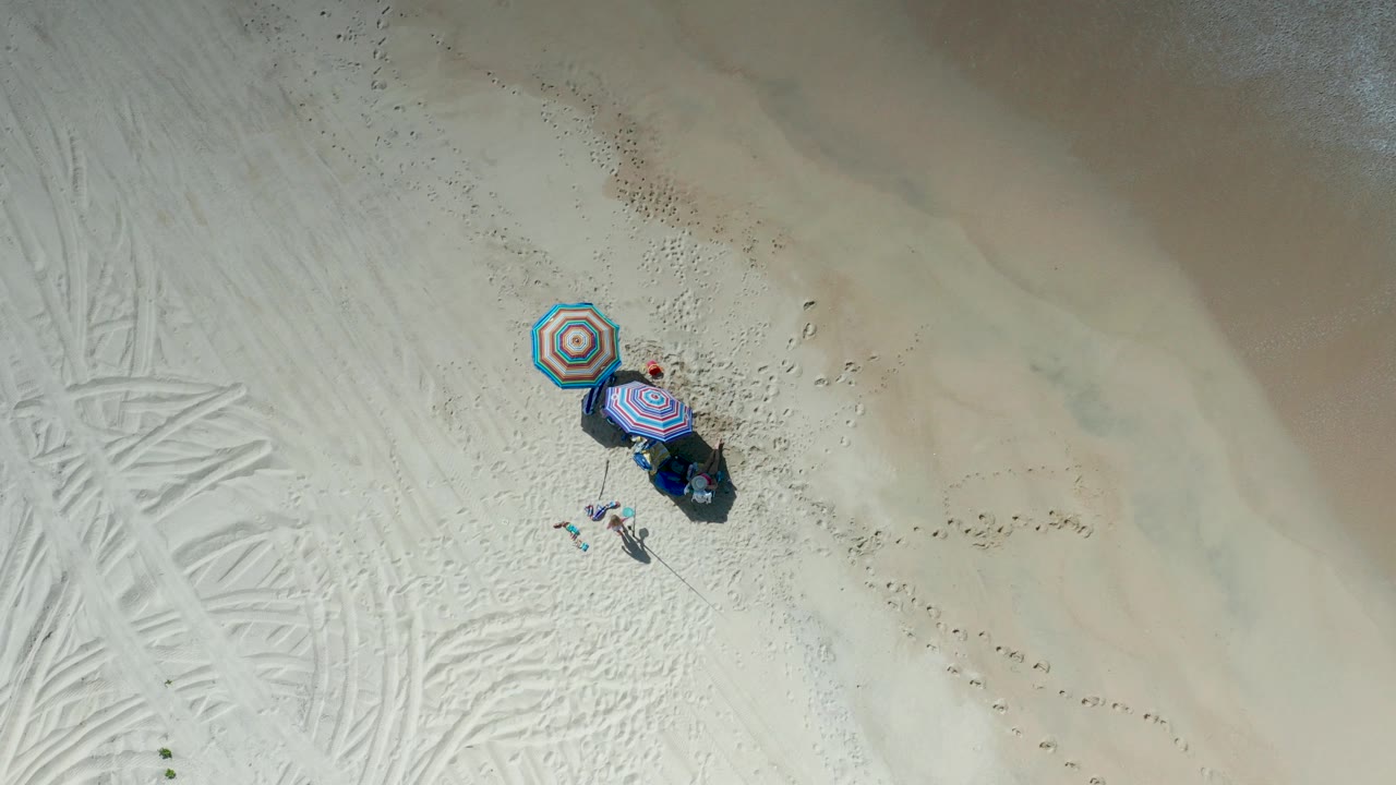 Top-down Los Cabos beach frame with two striped umbrellas, a person near the shade, dogs on the sand, and tire marks crossing the left side.