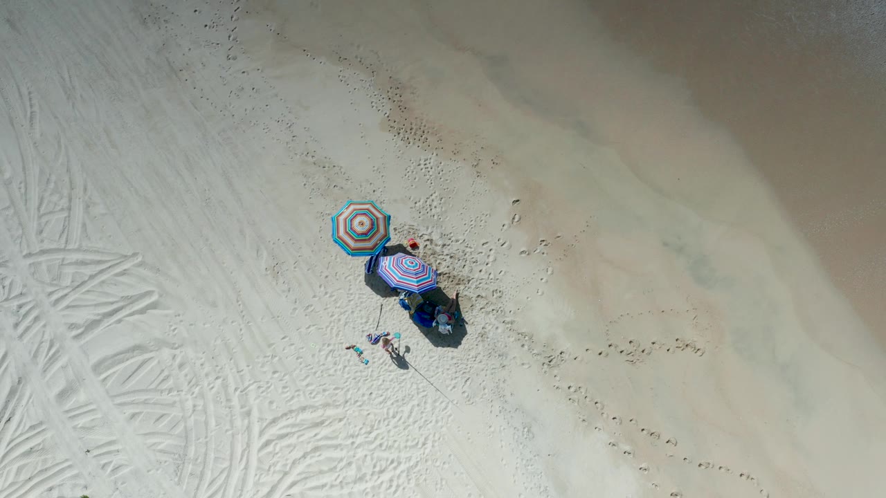 Top-down Los Cabos frame with the striped umbrellas slightly higher in the image, a person beside the shaded area, dogs below, and textured sand surrounding the setup.