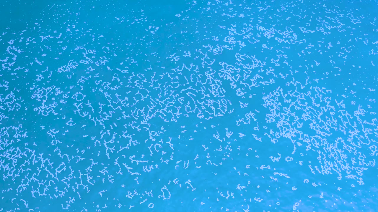 Blue sea surface in Los Cabos, Mexico, filled with broken white foam marks across the frame and no visible people.