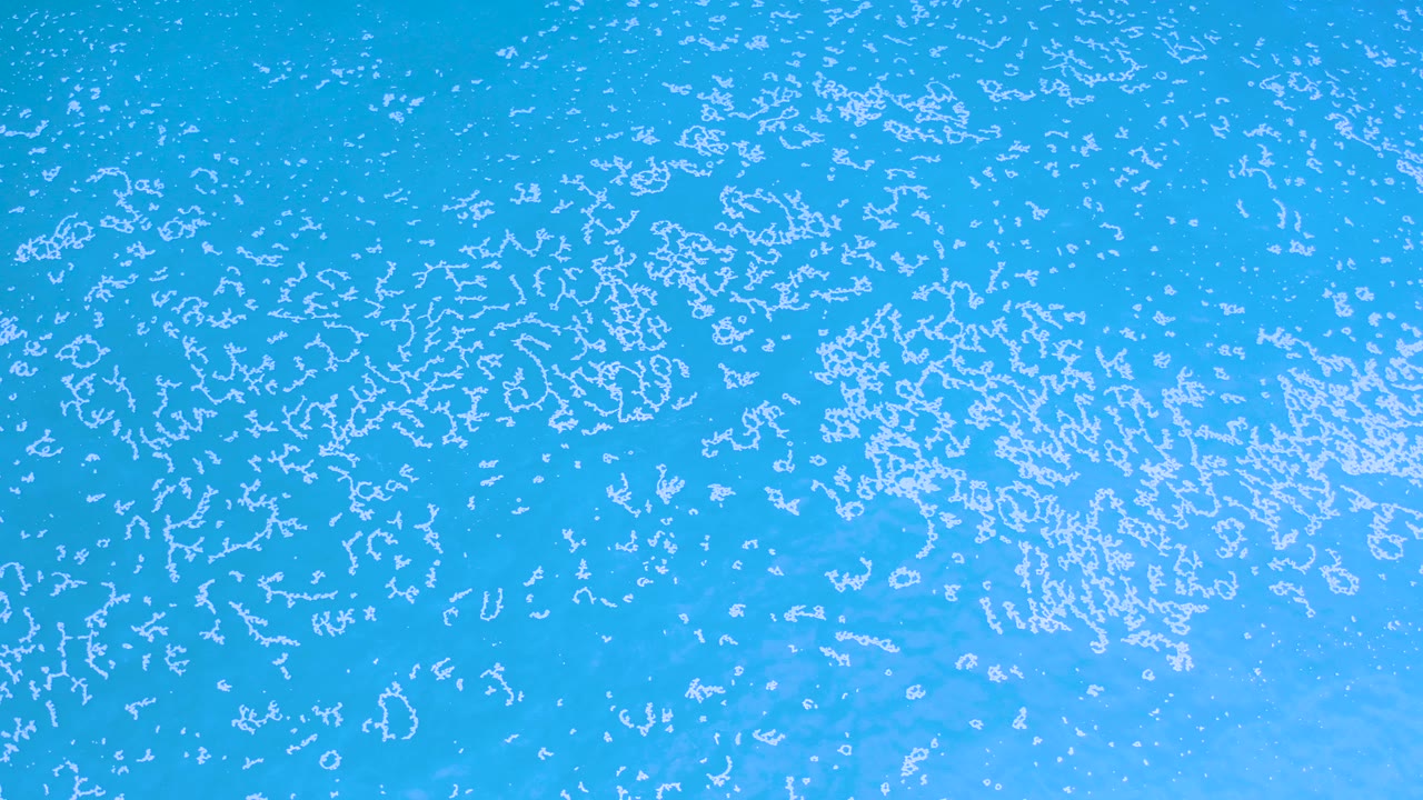 Bright turquoise ocean surface in Los Cabos, Mexico, with scattered white foam-like texture across the frame and no visible people.
