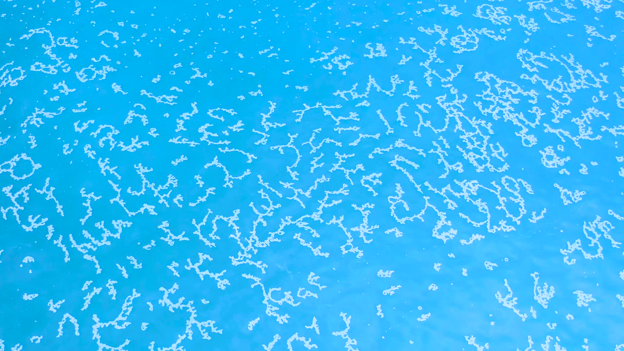 Blue-green ocean surface in Los Cabos, Mexico, fills the frame with thin white foam streaks and no visible shoreline or people.