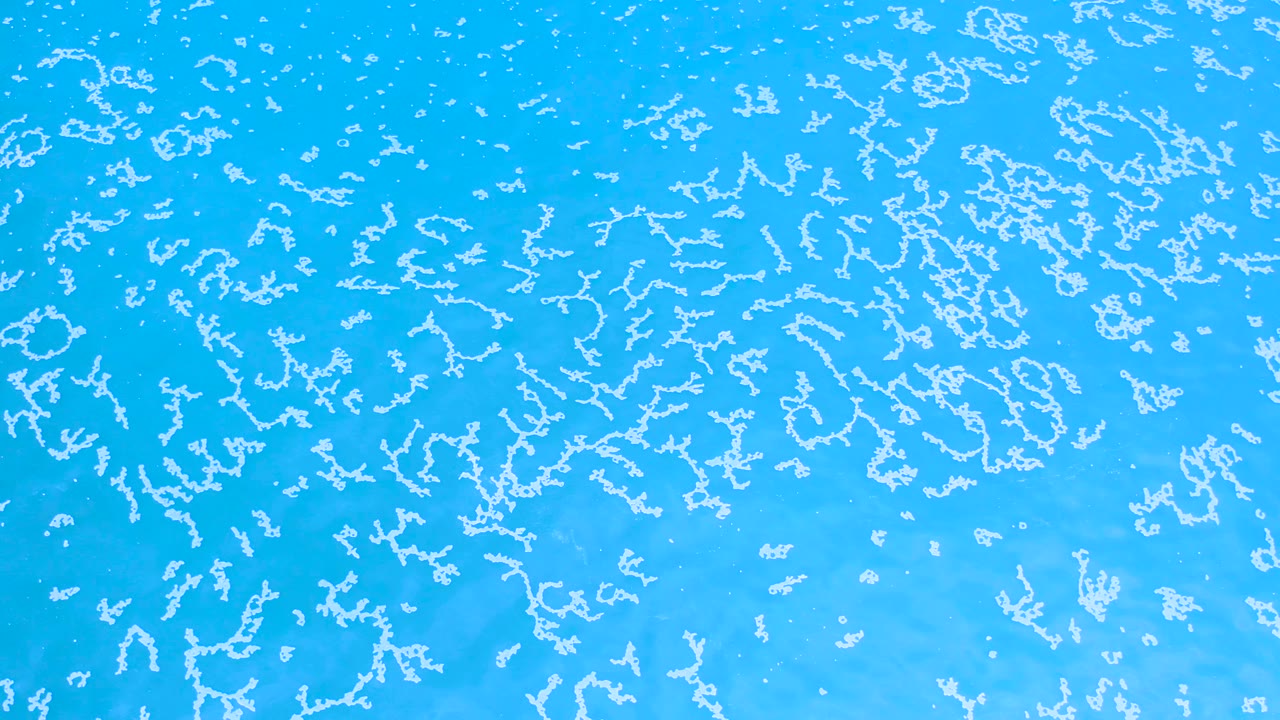 Aerial view of bright blue ocean in Los Cabos, Mexico, with pale foam tracery spread across the frame and no visible people.