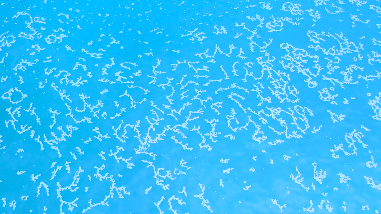 Turquoise water in Los Cabos, Mexico, appears from overhead with scattered white foam clusters and no visible boats, shoreline, or people.