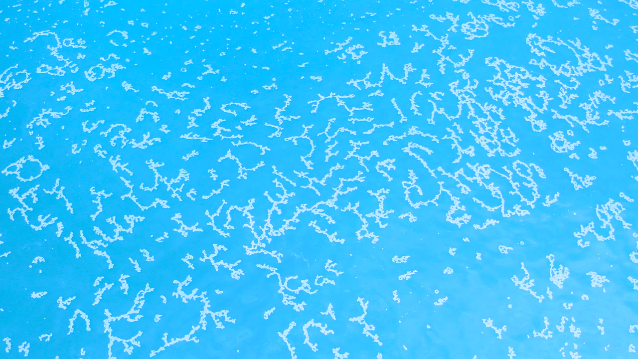 Opening frame from Los Cabos Mexico shows a bright transparent blue liquid field with dense white branching microbe-like forms and no visible people.