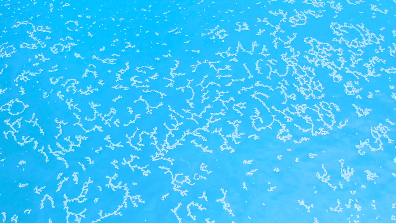 The frame holds on dense white branching forms across the transparent blue surface, with soft variation in the blue background and no visible people.