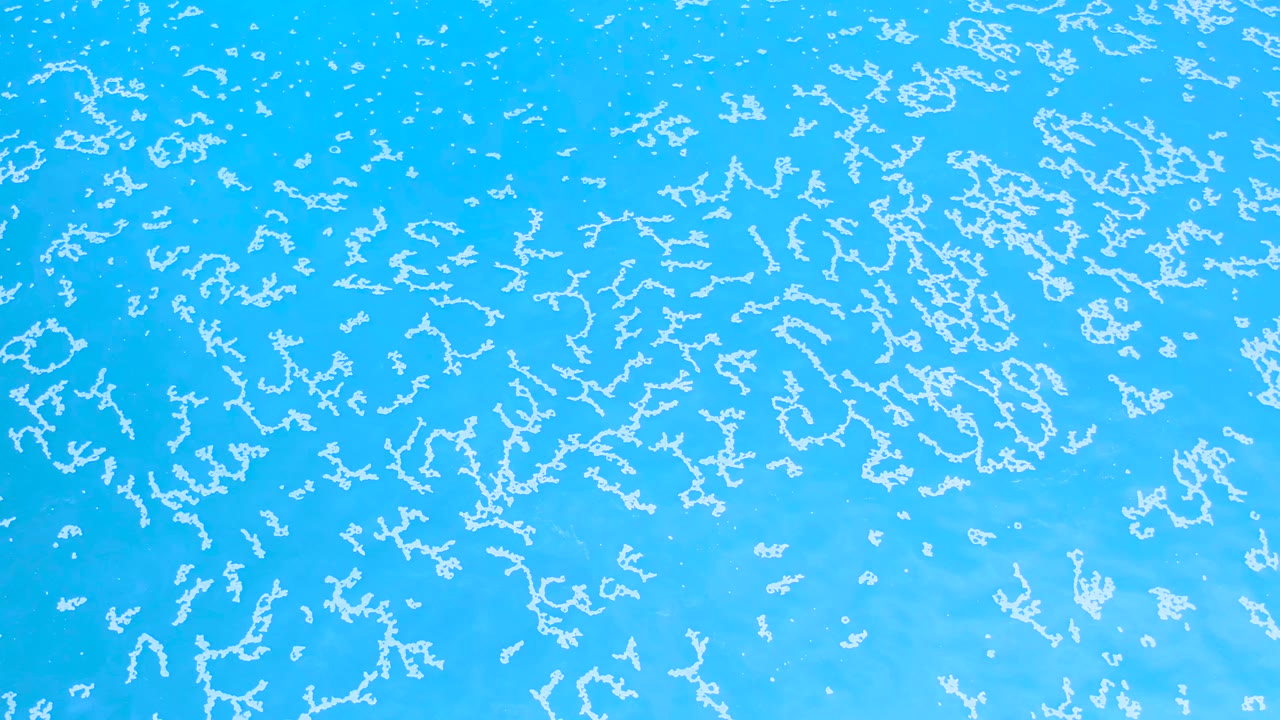 Bright turquoise ocean surface in Los Cabos, Mexico, showing scattered foam marks across the frame with no shoreline or visible people.
