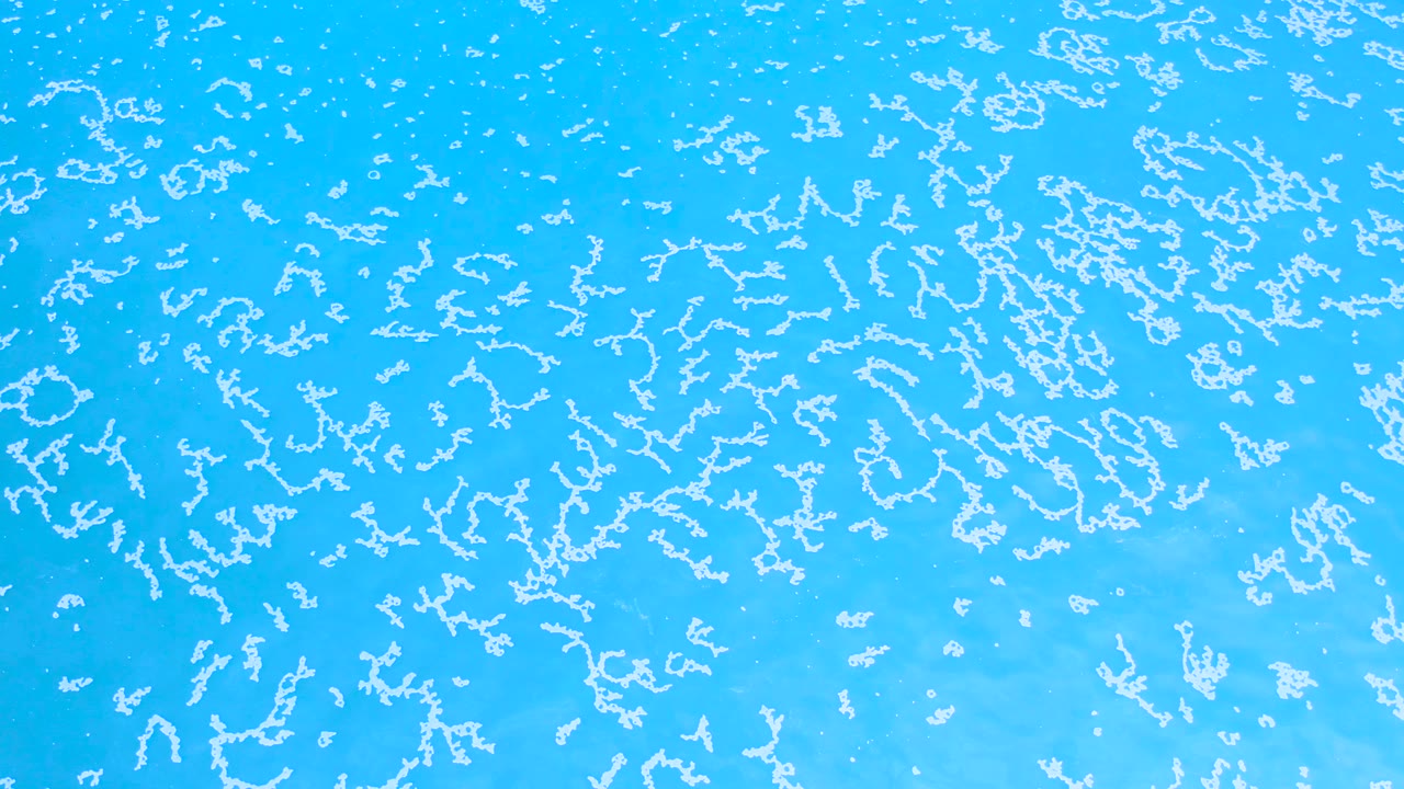 Crystalline blue sea surface with fine white foam streaks.