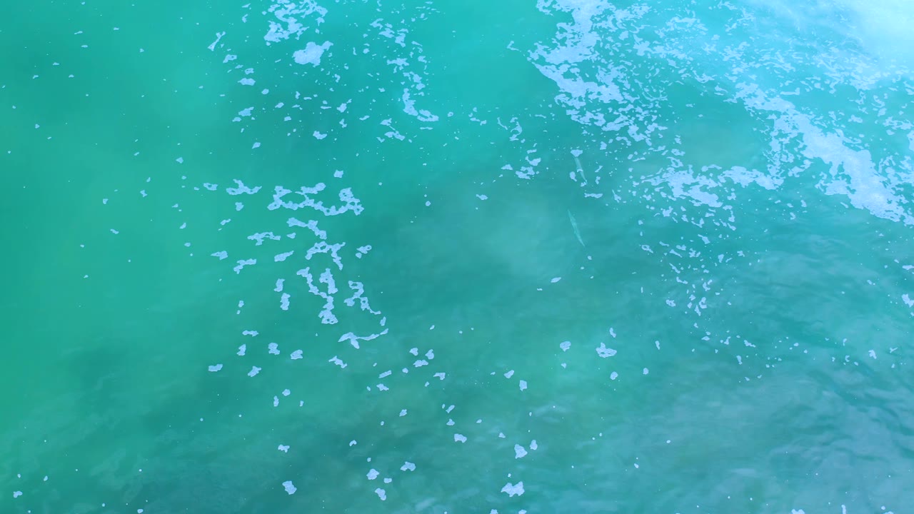 Green sea surface in Los Cabos, Mexico, seen from above with a central cluster of white bubbles and faint wave bands, with no visible people.