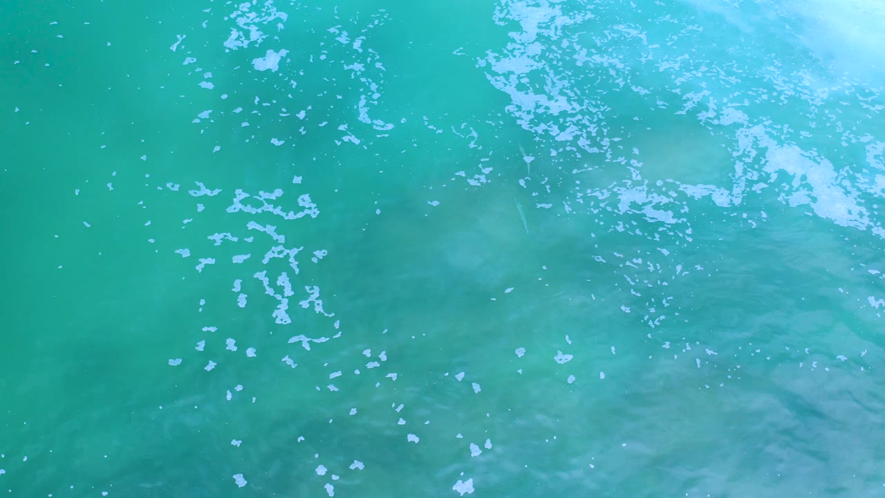 Green ocean surface with scattered white bubbles across rippled water.