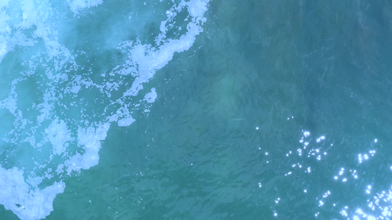 White foam drifting beside clear water with scattered bright reflections.