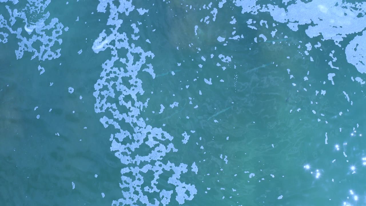 Overhead blue-green ocean water with pale foam patches.