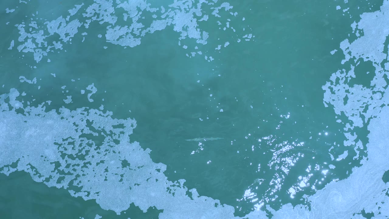 Aerial-looking frame of green-blue water in Los Cabos, Mexico, with foam clustered along the top and lower right and small bright reflections near center, no visible people.
