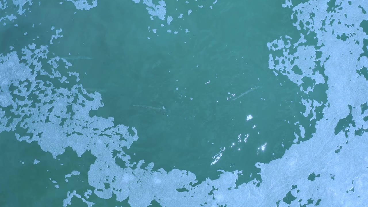Foamy teal water with scattered bright reflections.