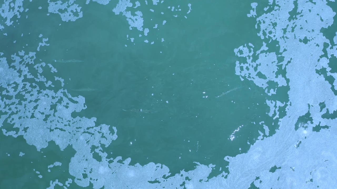 Close ocean texture from Los Cabos, Mexico, with a broad pale foam band crossing the water and darker teal gaps between foam clusters, no visible people.