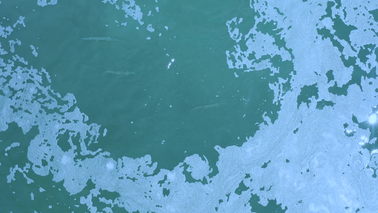 Overhead view in Los Cabos, Mexico of green shallow water with broad white foam patches near the lower right and no visible people.