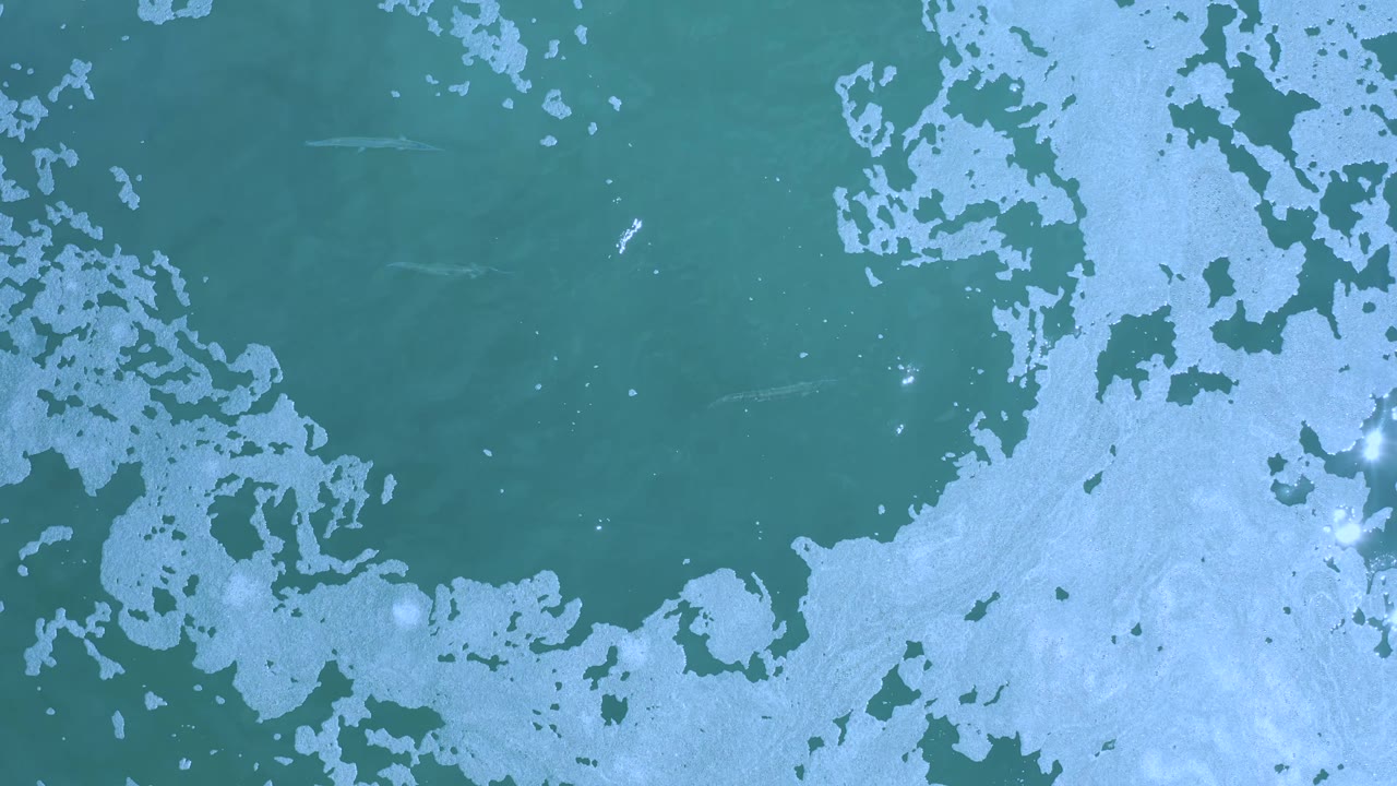 Overhead Los Cabos water frame with a large pale foam field along the lower half and darker green water above, with no visible people.