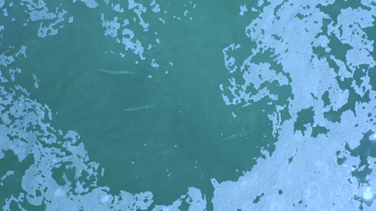Overhead Los Cabos frame with dense white foam along the right and lower edge, open green water to the left, and no visible people.