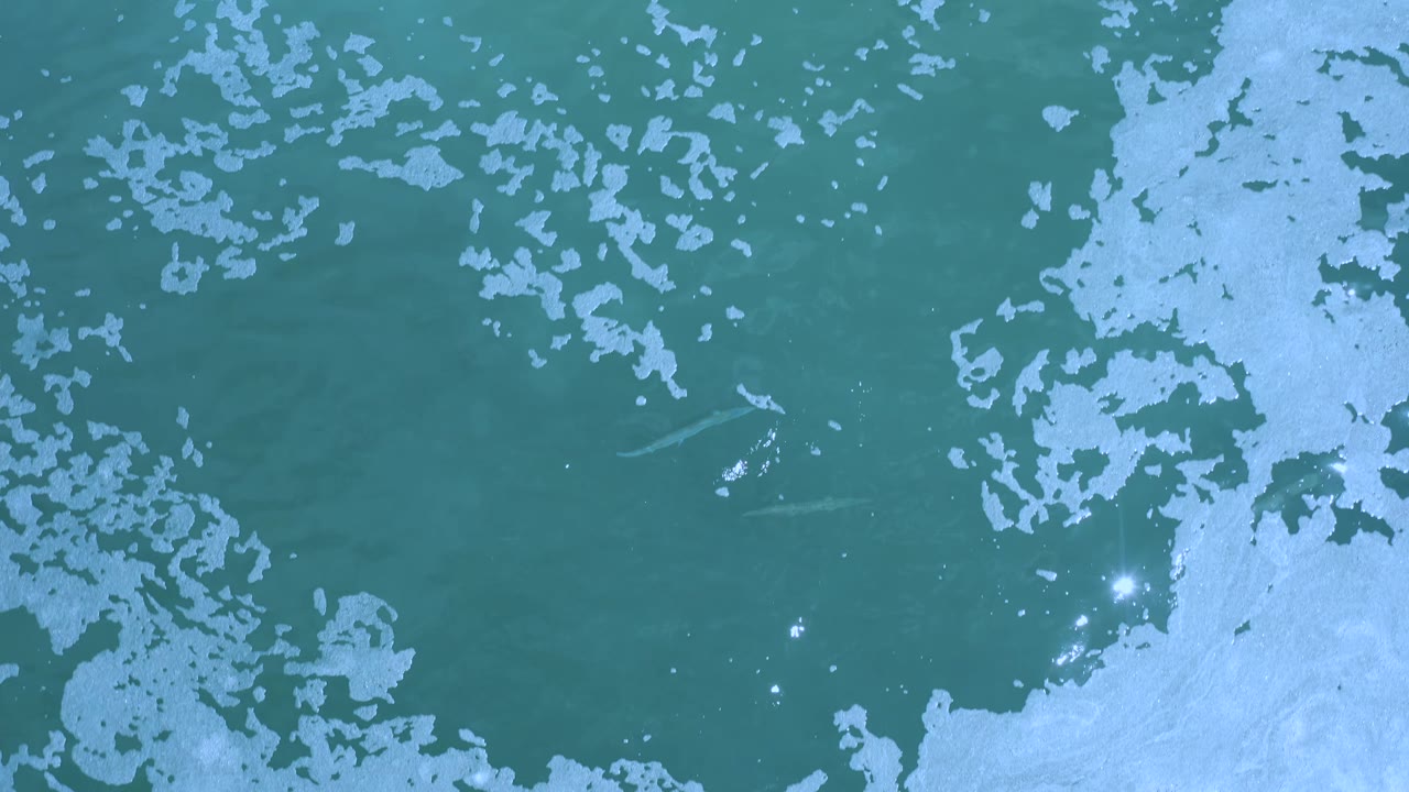 Overhead Los Cabos ocean surface with pale foam fields, darker green water, and a bright sun reflection slightly left of center, with no visible people.
