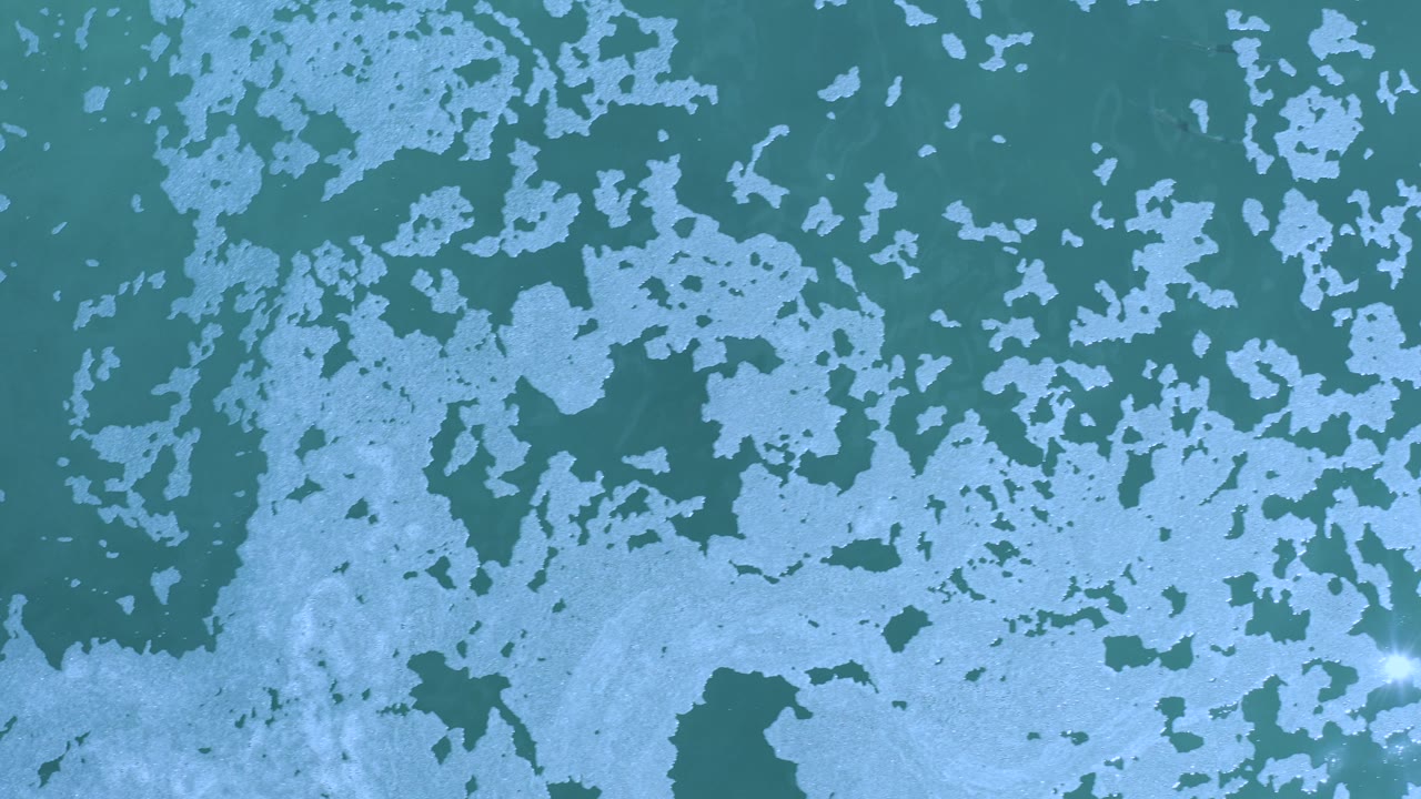 Opening overhead frame of green-blue water in Los Cabos, Mexico with white floating particles spread across the surface and no visible people.