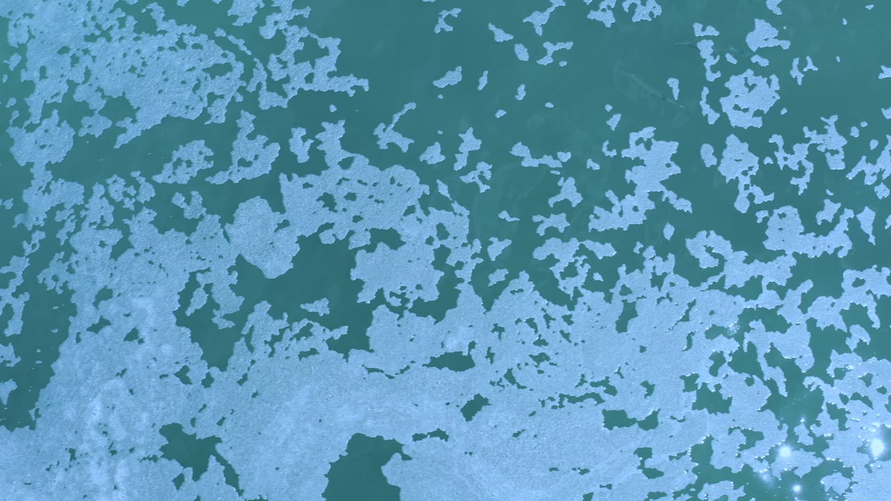 Top-down frame from Los Cabos, Mexico showing greenish clear water, scattered white flecks, faint surface texture, and no visible people.