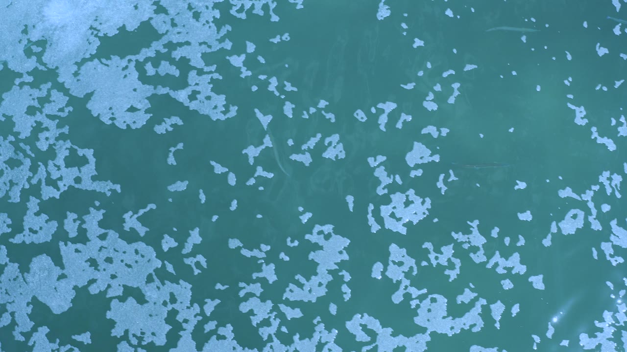 Overhead blue-green water with pale surface patches.