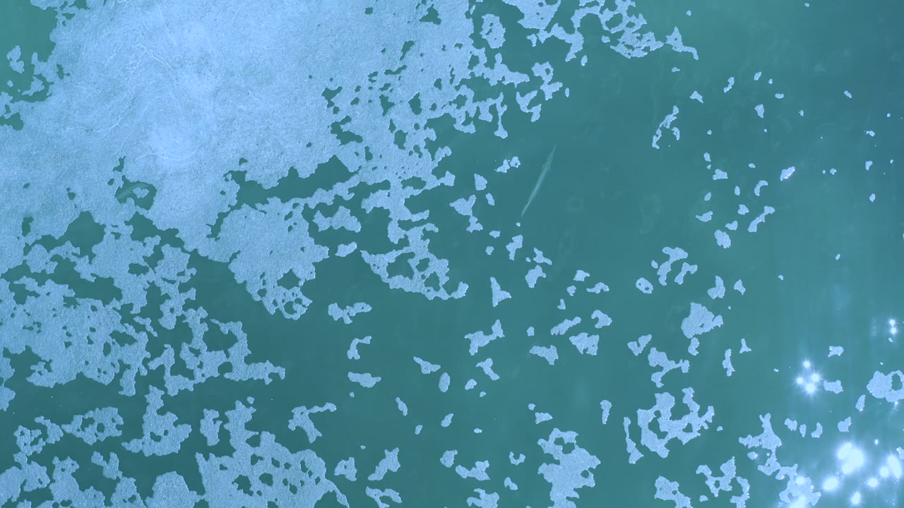 Overhead dark green seawater with pale foam patches and sun glints.