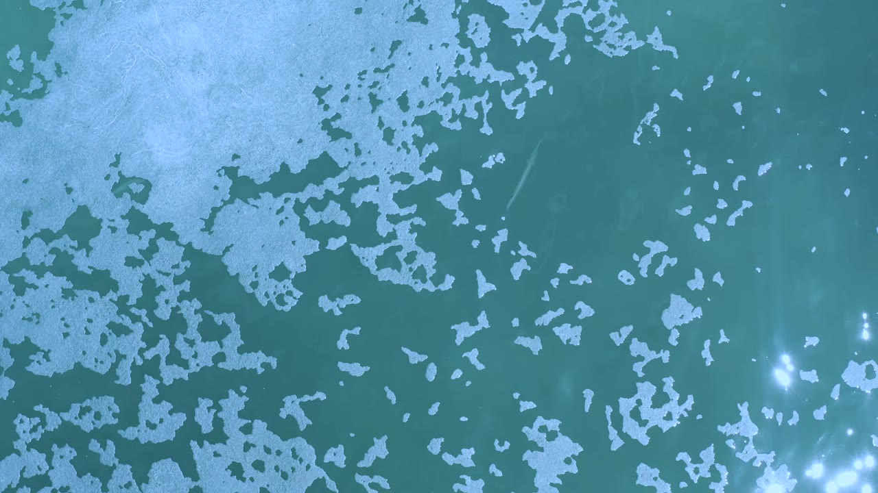 Overhead Los Cabos ocean frame showing a larger pale foam field near the upper left and scattered white froth across dark green water, with no visible people.