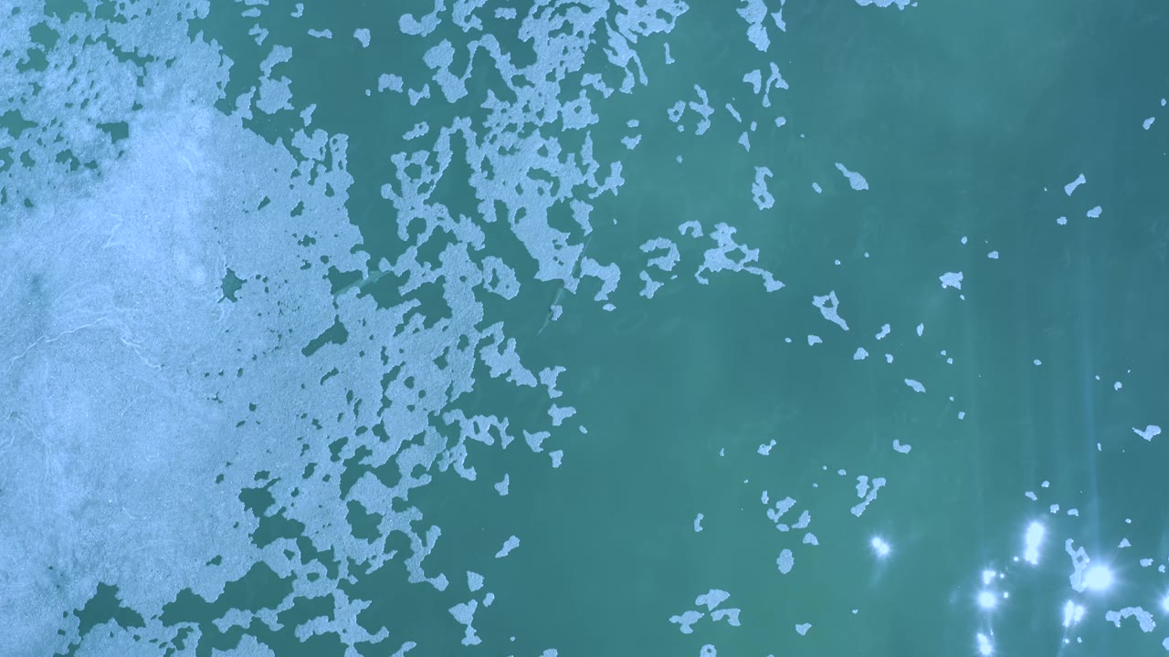 Overhead Los Cabos water view with a pale foam band along the left side, scattered foam fragments across the top, and open teal water to the right, with no visible people.