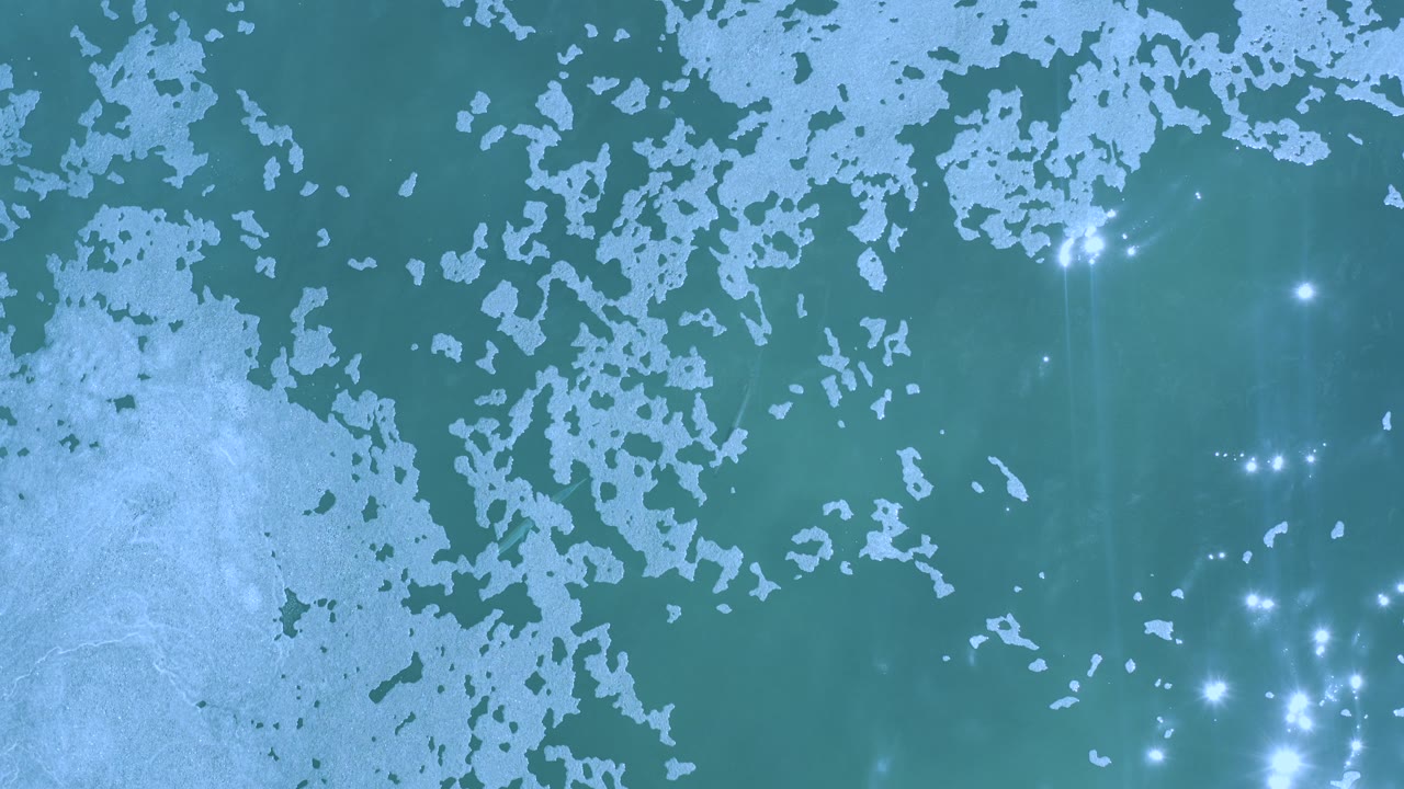Overhead teal water with white floating patches and sun glints.