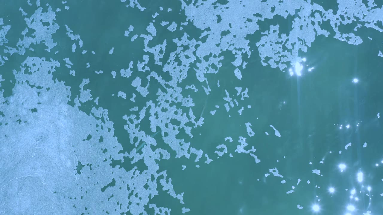 Top-down Los Cabos water frame with pale white floating areas spread across the surface, a large lighter patch at lower left, and no visible people.
