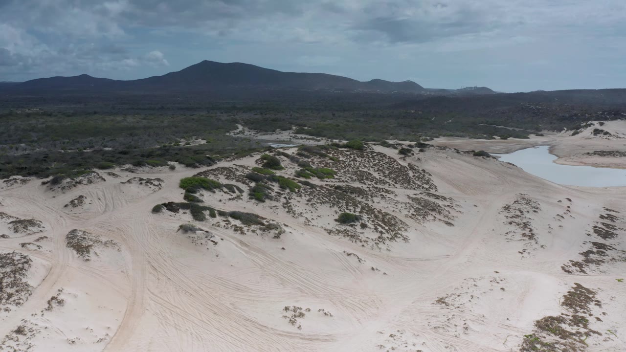 Wide aerial frame from Los Cabos, Mexico, with tire-like tracks in pale sand, scattered shrubs, a small light-blue pond near the right side, dark mountains, and no visible people.